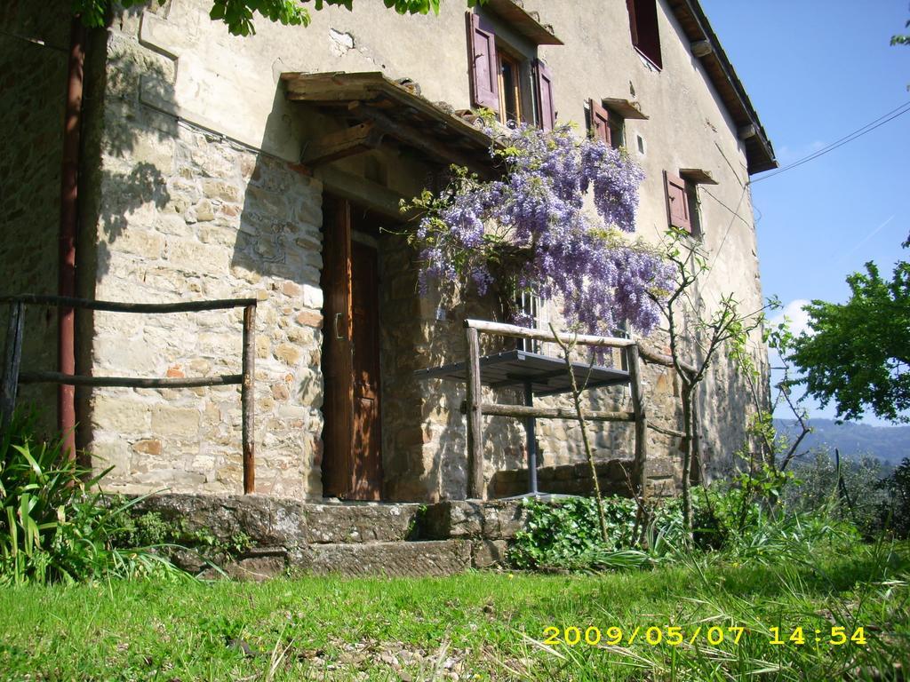 Castello Di Ristonchi Vila Pelago Exterior foto