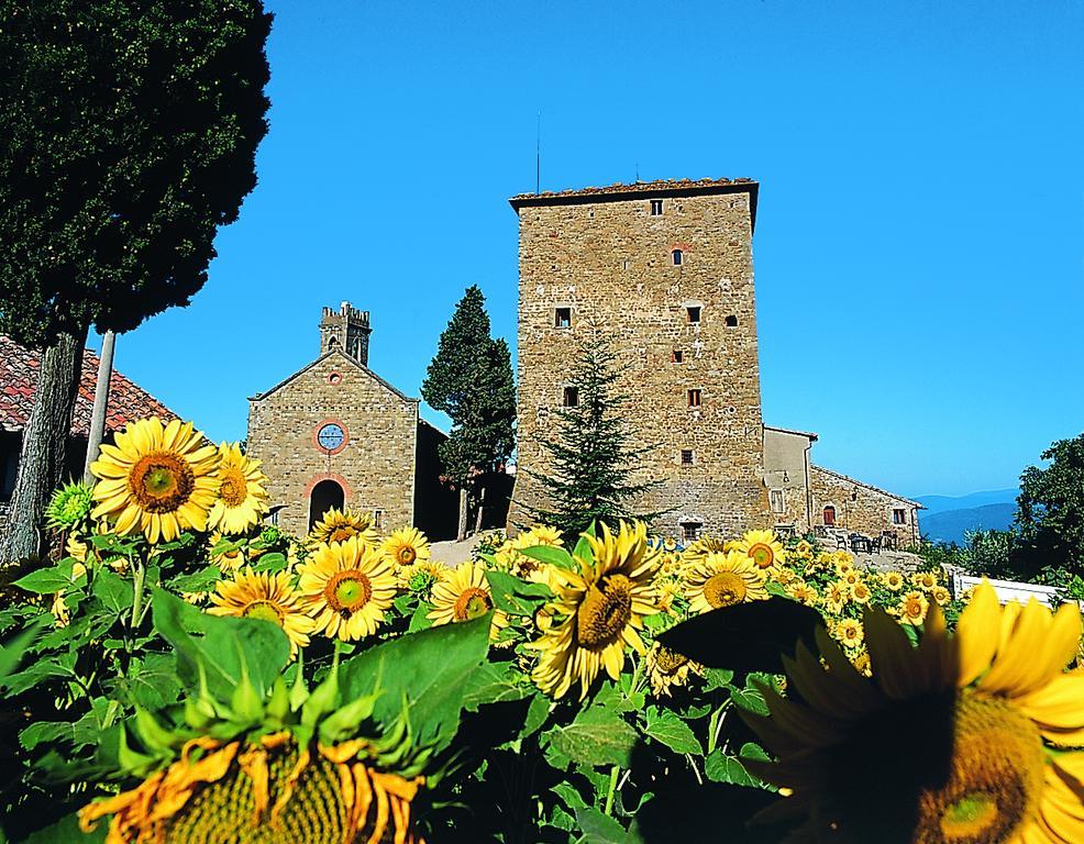 Castello Di Ristonchi Vila Pelago Exterior foto