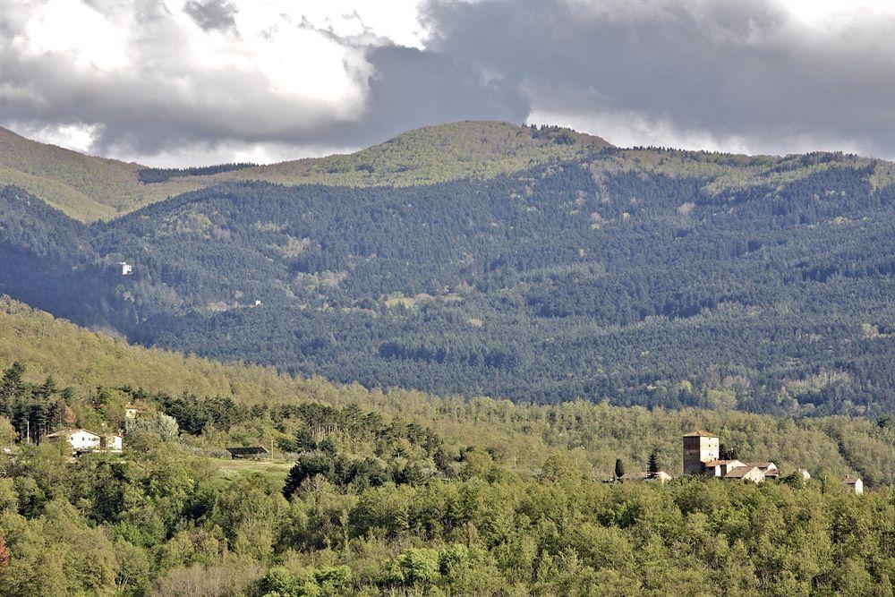 Castello Di Ristonchi Vila Pelago Exterior foto