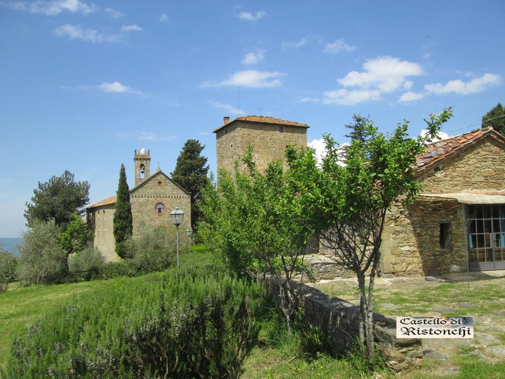 Castello Di Ristonchi Vila Pelago Exterior foto