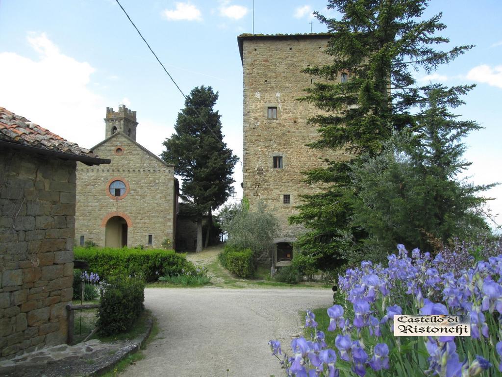 Castello Di Ristonchi Vila Pelago Exterior foto