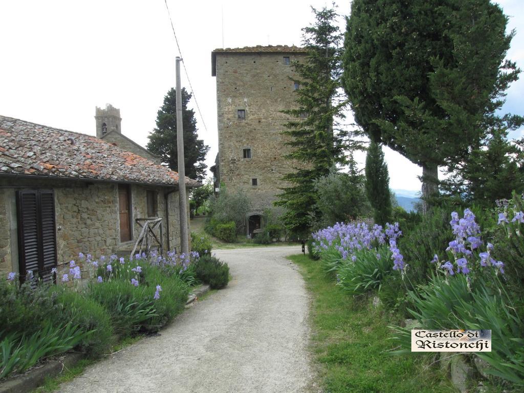 Castello Di Ristonchi Vila Pelago Exterior foto